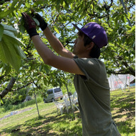 オキ・ファーム
