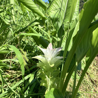 のどかなナチュラルファーム