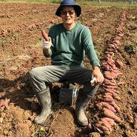 オルタナ　ほしか