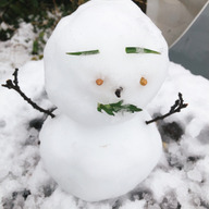 🌈Colorfulふぁーむ🍅