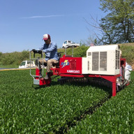 創業昭和元年 自園自製 八女の鶴製茶園