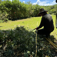 アカショウビンとじーじの小さな農園