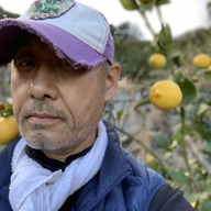 熱海柑橘農園 ATAMI de LEMON®