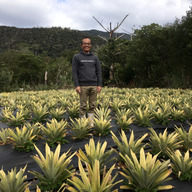 ブルーツリーファーム