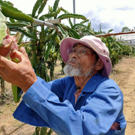 タカエス フルーツ&ベジタブル