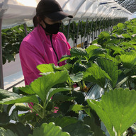 アグリモンスタースペシャル