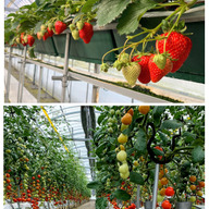 林ファーム　作手高原