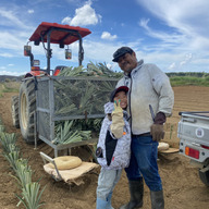 石垣島　前花パイン農園