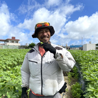 仲宗根ファーム