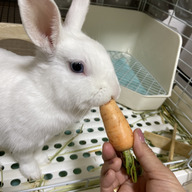 あおいふぁーむ