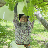 山梨青空ぶどう園