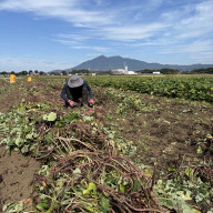 伊藤喜ベストメイツ株式会社つくば営業所　IBファーム