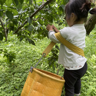 ファーム　タムラ