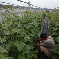 キートス ・ ケイ 【 kiitos.k 】