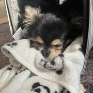 北海道の富良野の田舎農園