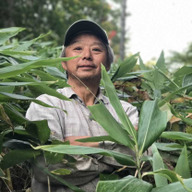 Mt.ピッシリ森の国