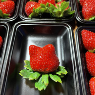 べりーべりー農園