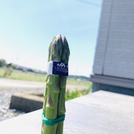 髙江アスパラ農園