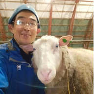 石狩ひつじ牧場　羊肉・羊肉製品専門店