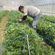 とらたろう農園