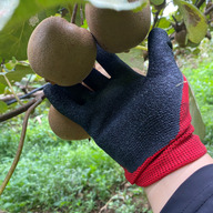 株式会社八女スイーツ