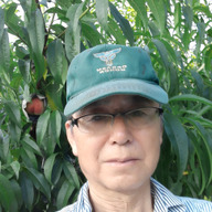 夢バンクさとう