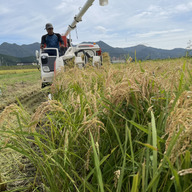 丹波ひまわり農園