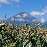 鍛冶屋ファーム