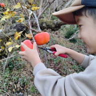 やまだ農果野菜園