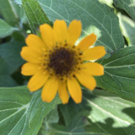 たかはしファーム