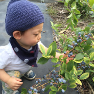 ブルーベリーファーム新松戸