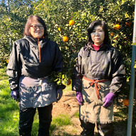 ヤマニ　柏木農園