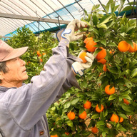 ハーブ&フルーツおがた