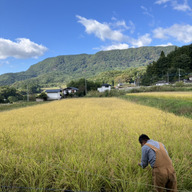 Peace man 農園　古舘