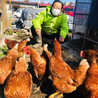 ピノキオホールディングス