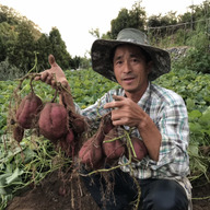 ふたがみマルシェ