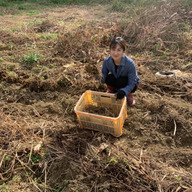 エリカファーム