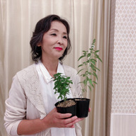 ファミリーファーム