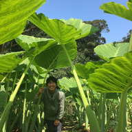 やまみずき農園（マル・シェリア）