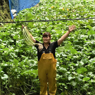 ワサビのゆうちゃん