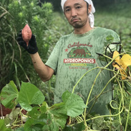 種子島　島のたべもの