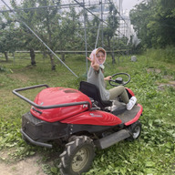 海のみえる果樹園
