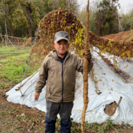 自然薯ねばりごし一本農園