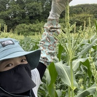 やっちゃん農園