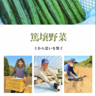 プラントワン