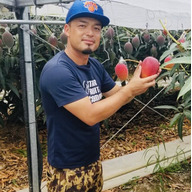 スターフルーツカンパニー