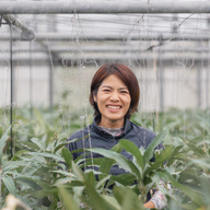 ココミラ・ファーム