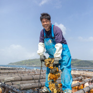 素潜り漁師　牡蠣小屋　大黒丸