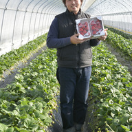 いちご屋　なお