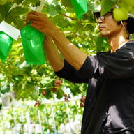 トゥルーバファーム青森